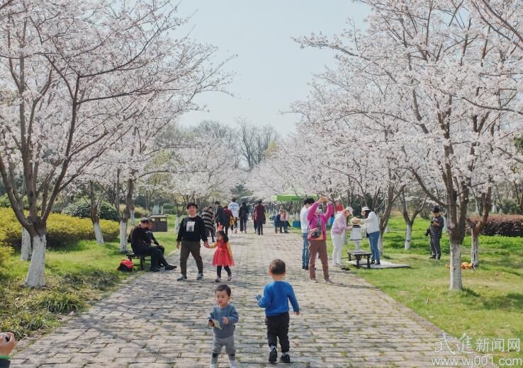 我區(qū)景點有序開放